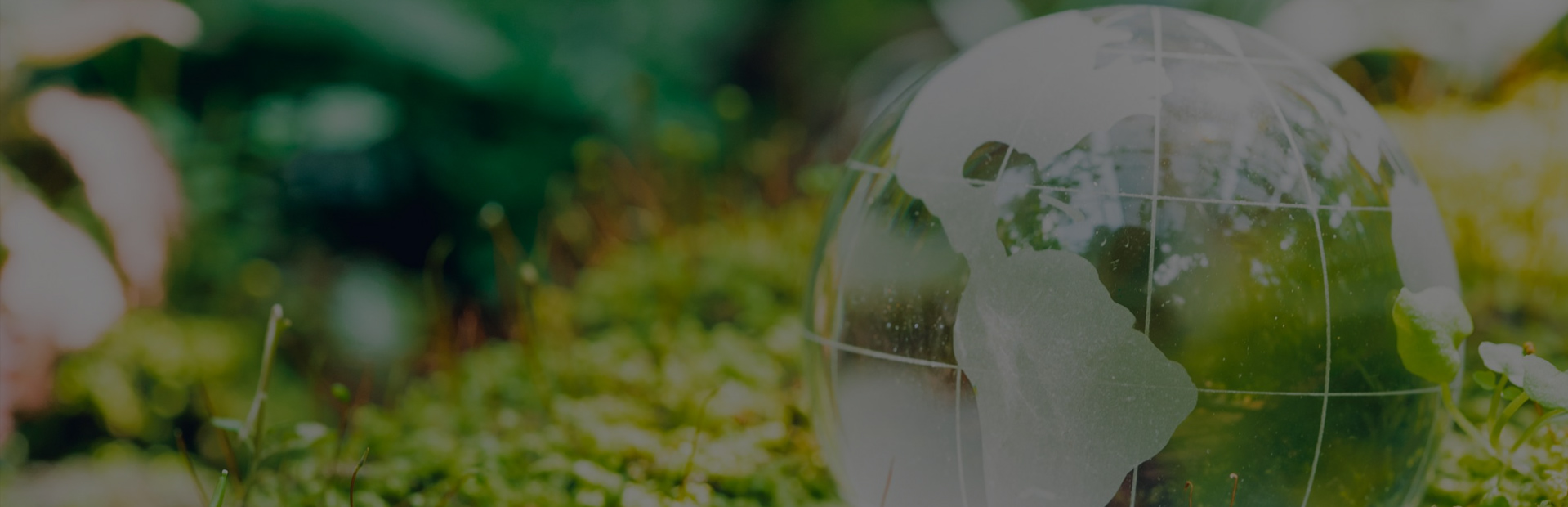 Sécurité, efficacité, protection de l'environnement et innovation