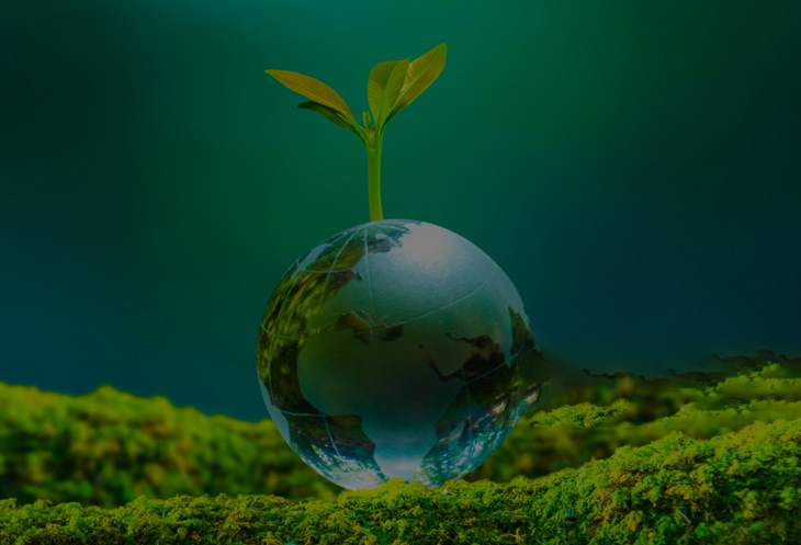 Protection de l'environnement 