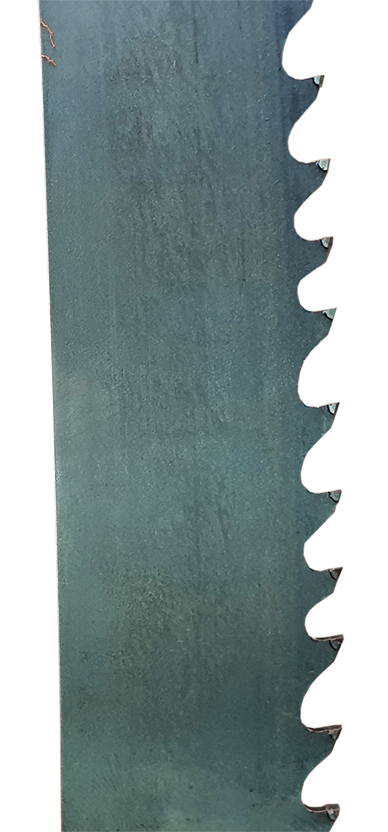 WIDA -- 50x34