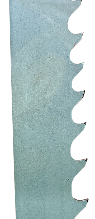 WIDA -- 50x341